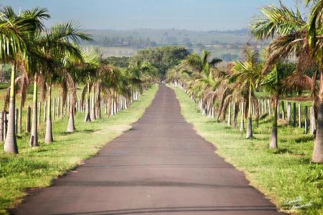 Fazenda à venda de 1.089 ha em Presidente Prudente, SP, Brasil