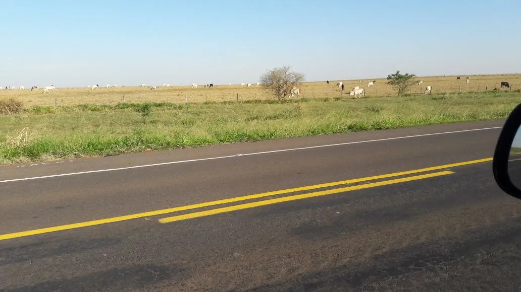 Fazenda à venda de 1.089 ha em Presidente Prudente, SP, Brasil
