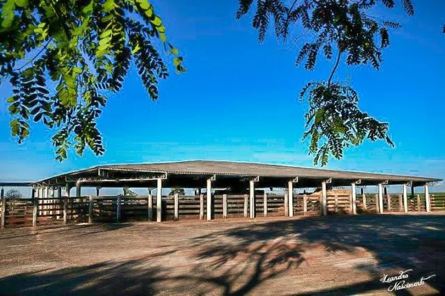 Fazenda à venda de 1.089 ha em Presidente Prudente, SP, Brasil