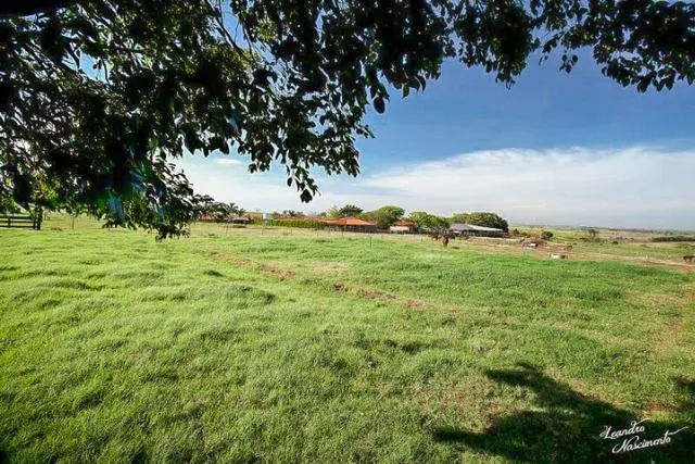 Fazenda à venda de 1.089 ha em Presidente Prudente, SP, Brasil