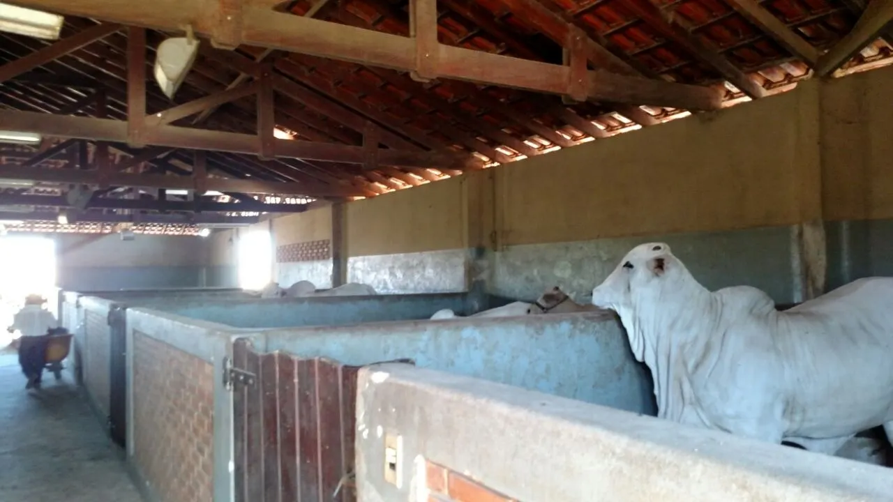 Fazenda à venda de 1.089 ha em Presidente Prudente, SP, Brasil