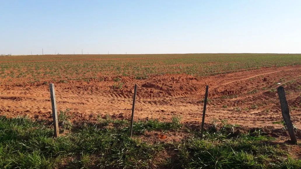 Fazenda à venda de 1.089 ha em Presidente Prudente, SP, Brasil