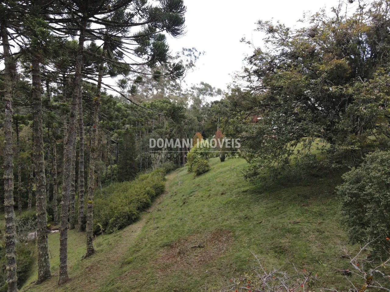 Terreno à venda de 1.300 m² em Campos do Jordão, SP, Brasil