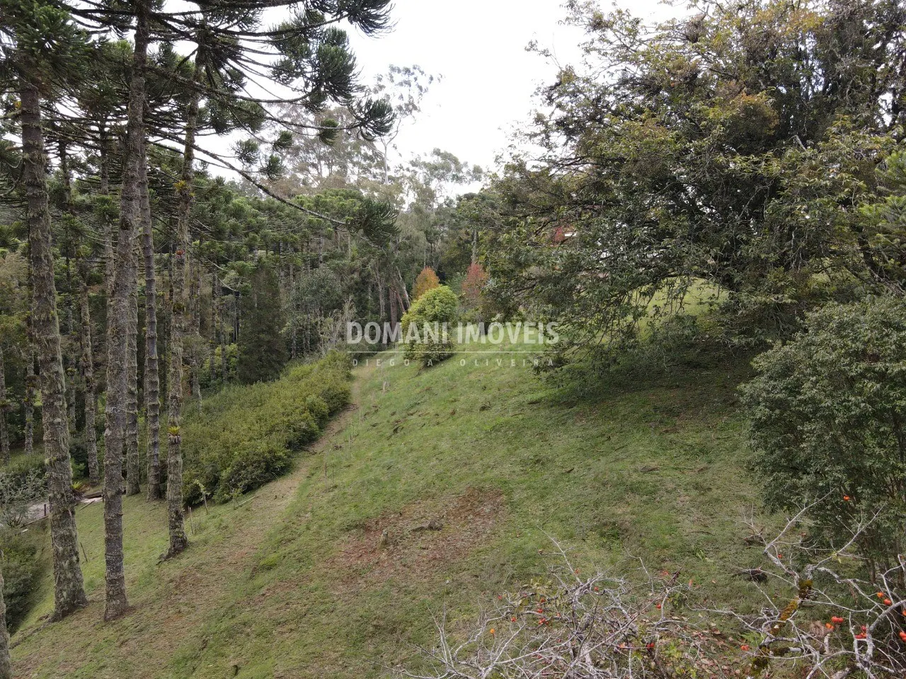 Terreno à venda de 1.300 m² em Campos do Jordão, SP, Brasil