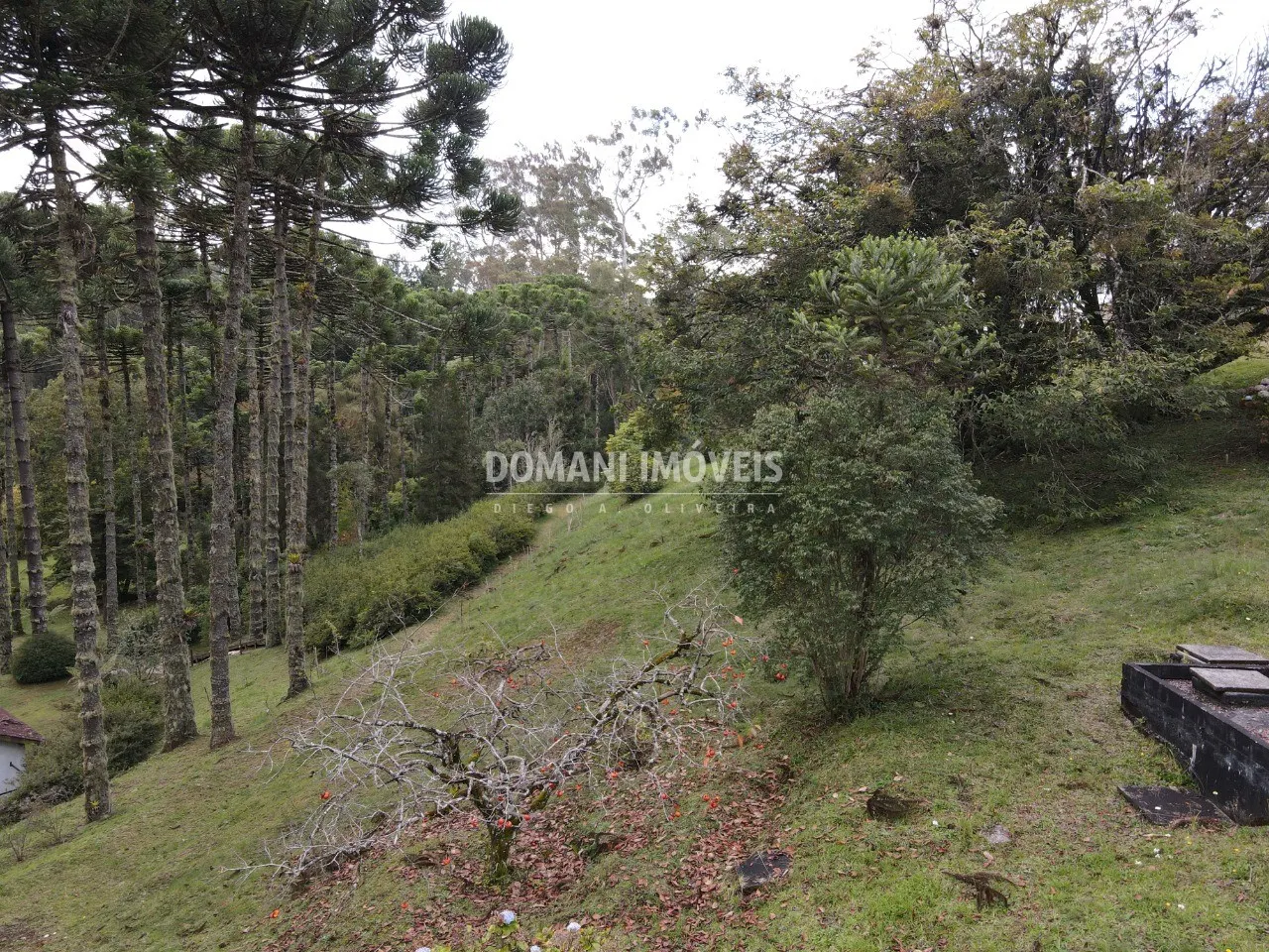 Terreno à venda de 1.300 m² em Campos do Jordão, SP, Brasil