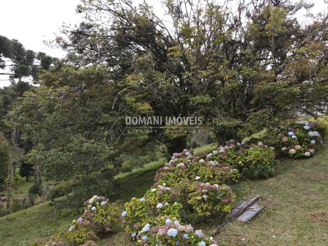 Terreno à venda de 1.300 m² em Campos do Jordão, SP, Brasil