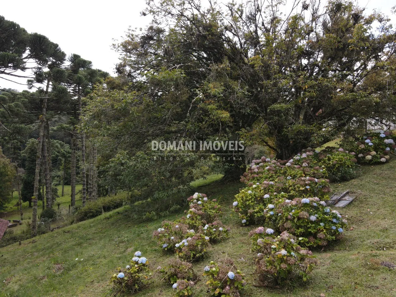 Terreno à venda de 1.300 m² em Campos do Jordão, SP, Brasil