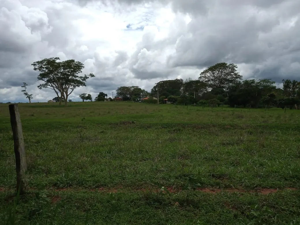 Fazenda à venda de 482 ha em Nova Granada, SP, Brasil