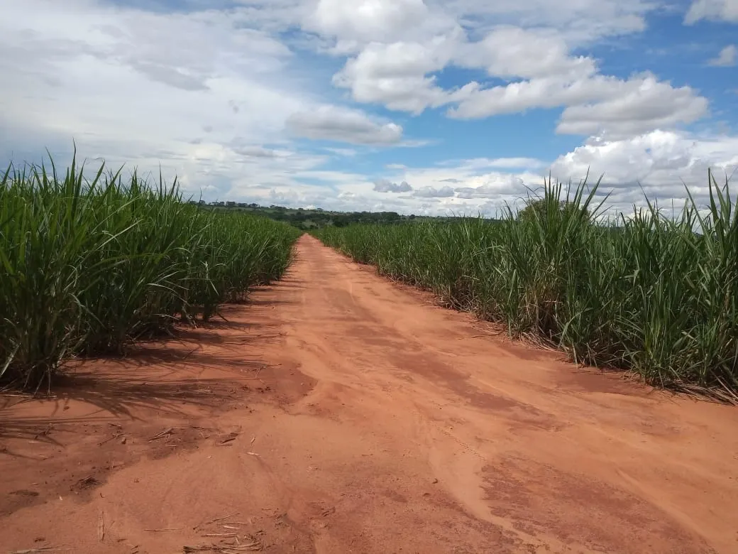 Fazenda à venda de 482 ha em Nova Granada, SP, Brasil