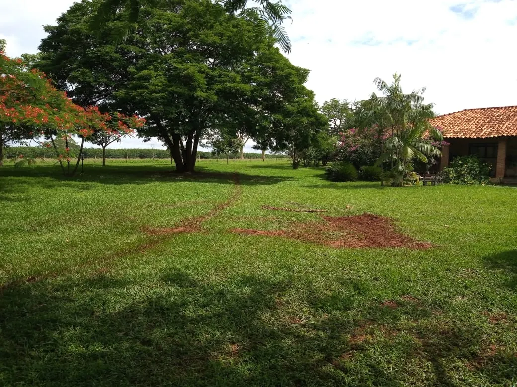 Fazenda à venda de 482 ha em Nova Granada, SP, Brasil