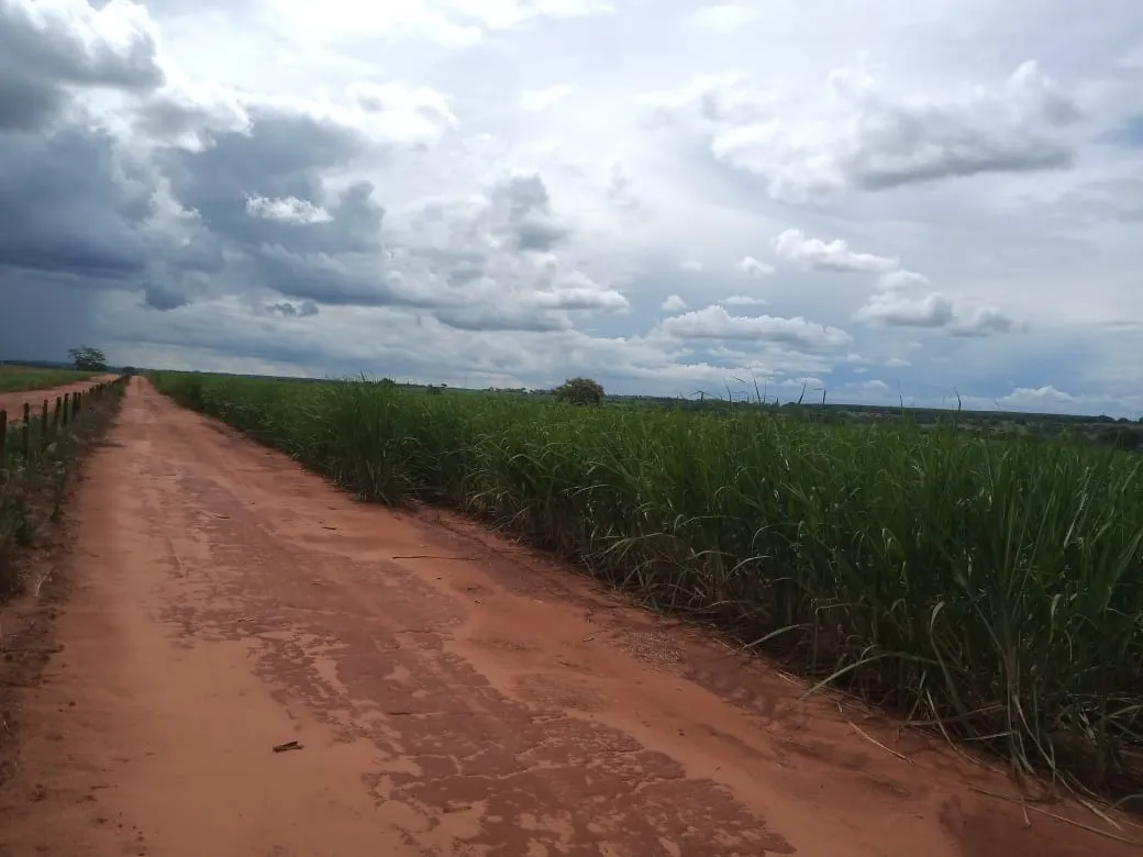 Fazenda à venda de 482 ha em Nova Granada, SP, Brasil