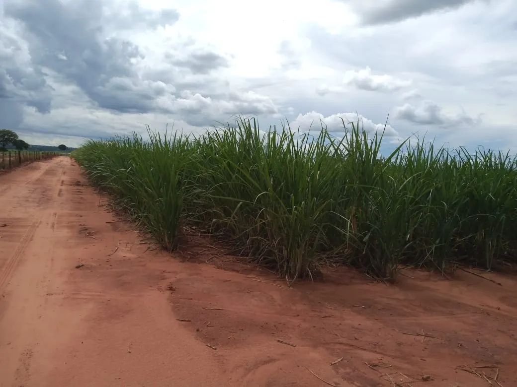 Fazenda à venda de 482 ha em Nova Granada, SP, Brasil