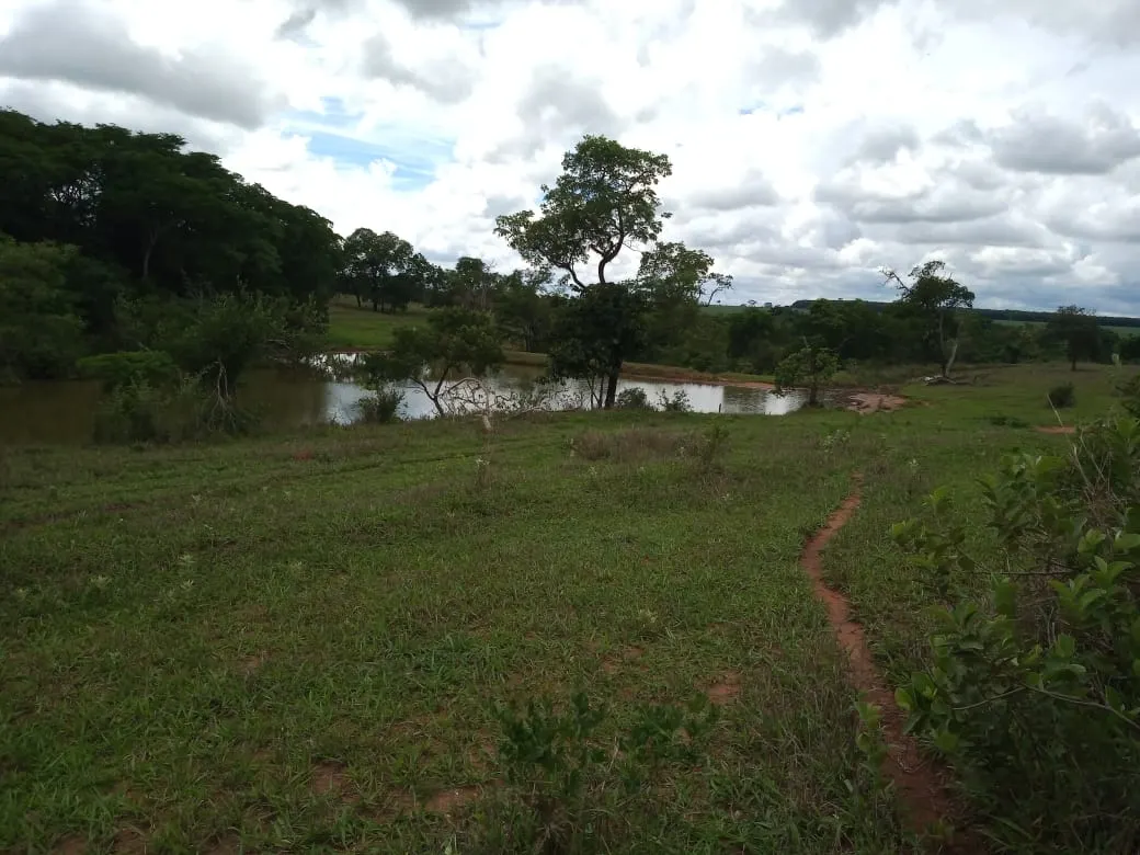 Fazenda à venda de 482 ha em Nova Granada, SP, Brasil