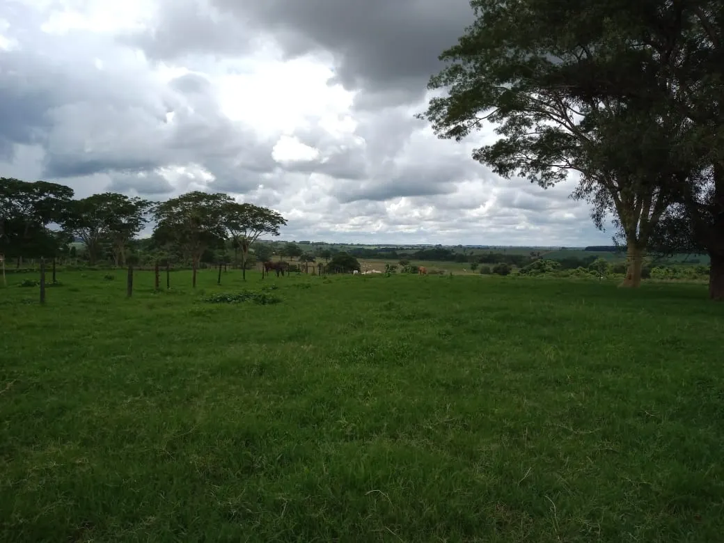 Fazenda à venda de 482 ha em Nova Granada, SP, Brasil