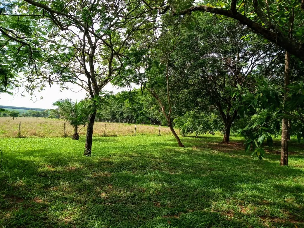 Fazenda à venda de 482 ha em Nova Granada, SP, Brasil