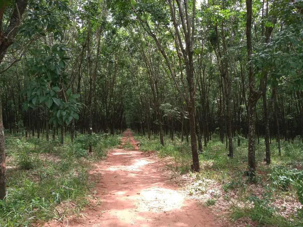 Fazenda à venda de 482 ha em Nova Granada, SP, Brasil