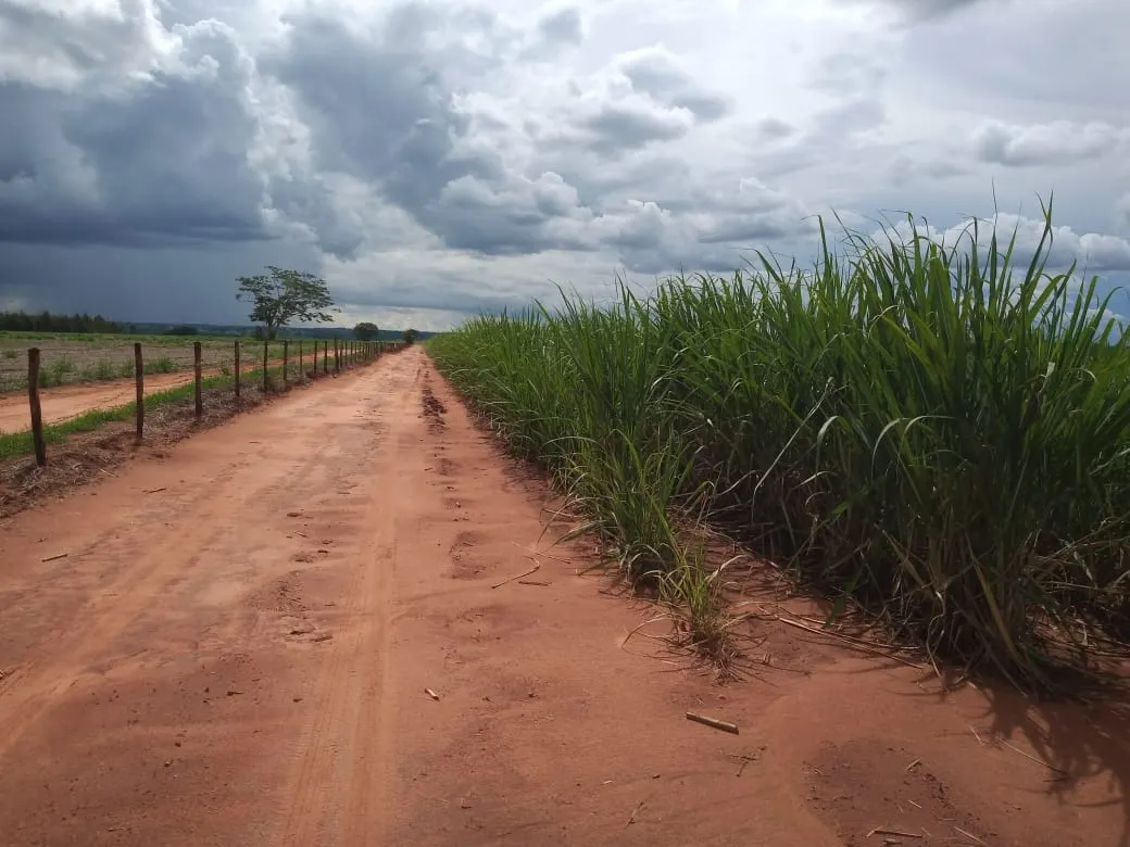 Fazenda à venda de 482 ha em Nova Granada, SP, Brasil