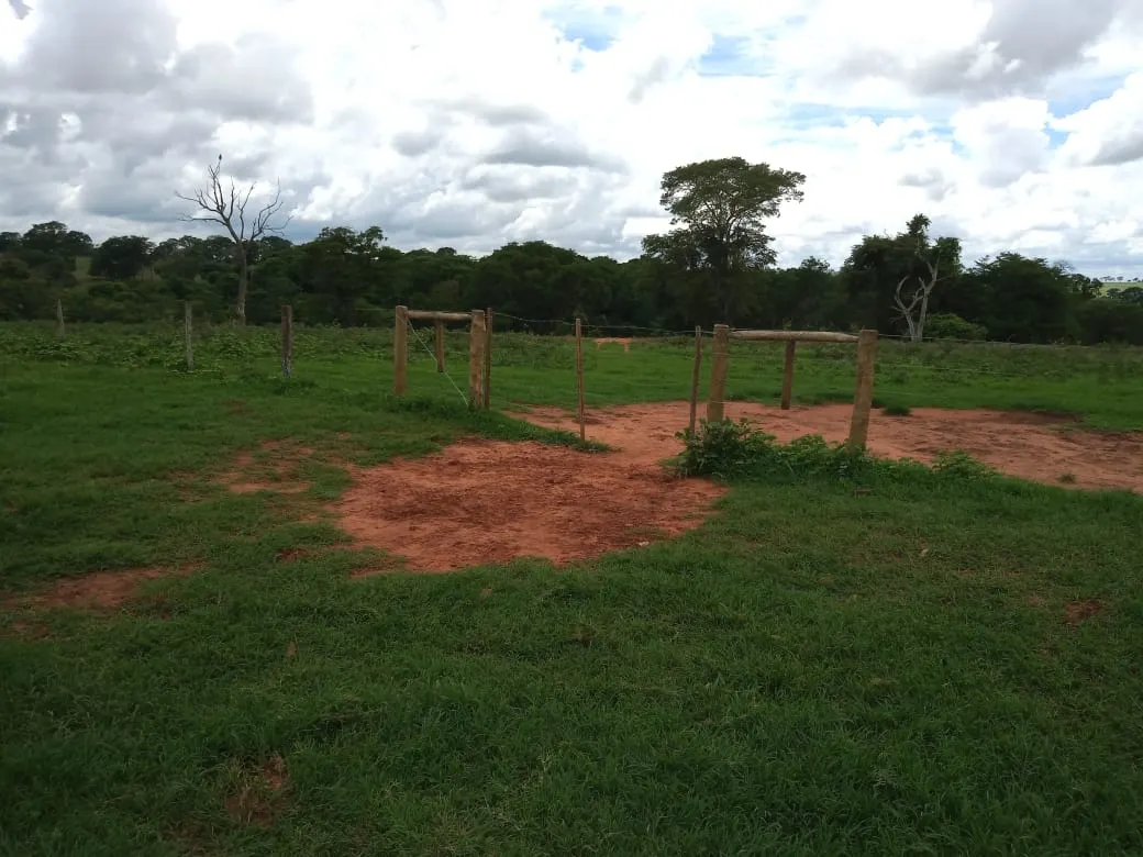 Fazenda à venda de 482 ha em Nova Granada, SP, Brasil