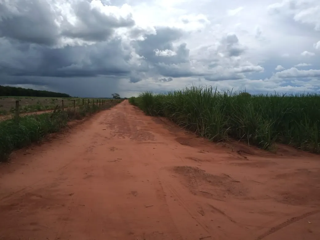 Fazenda à venda de 482 ha em Nova Granada, SP, Brasil