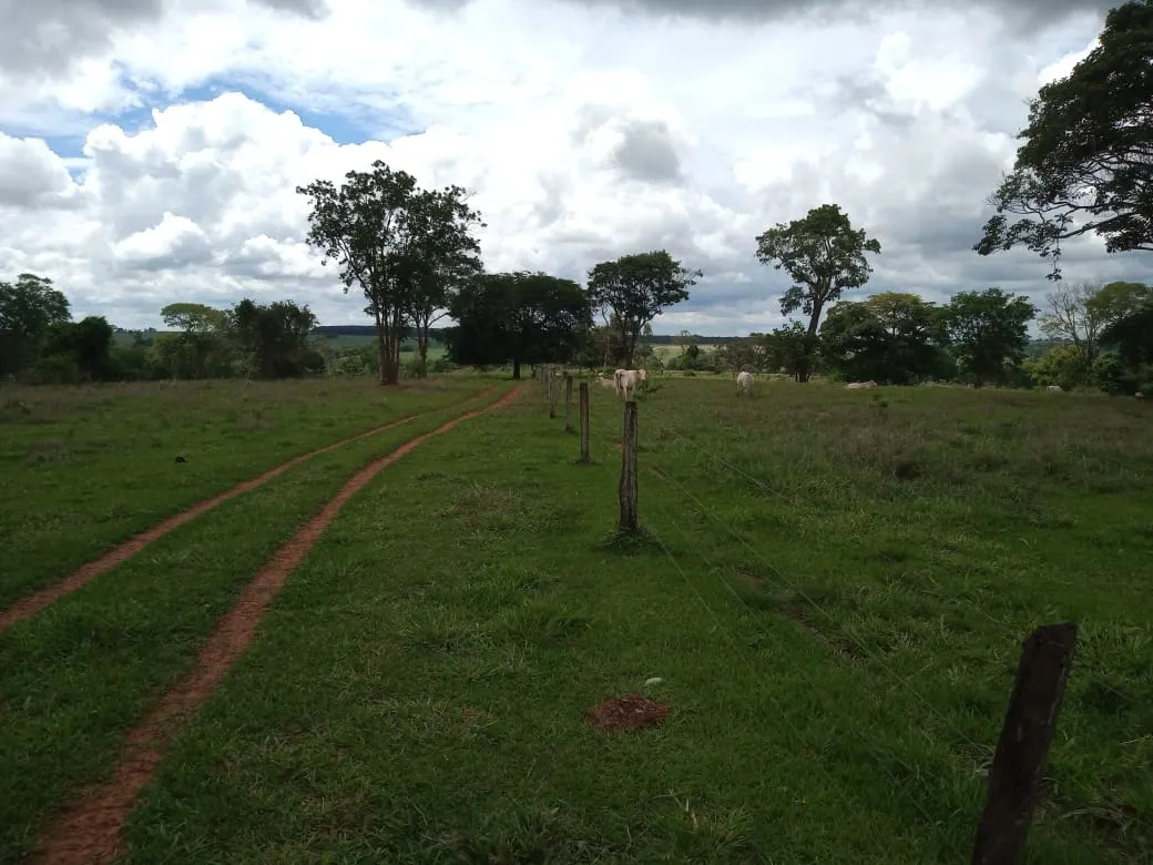 Fazenda à venda de 482 ha em Nova Granada, SP, Brasil