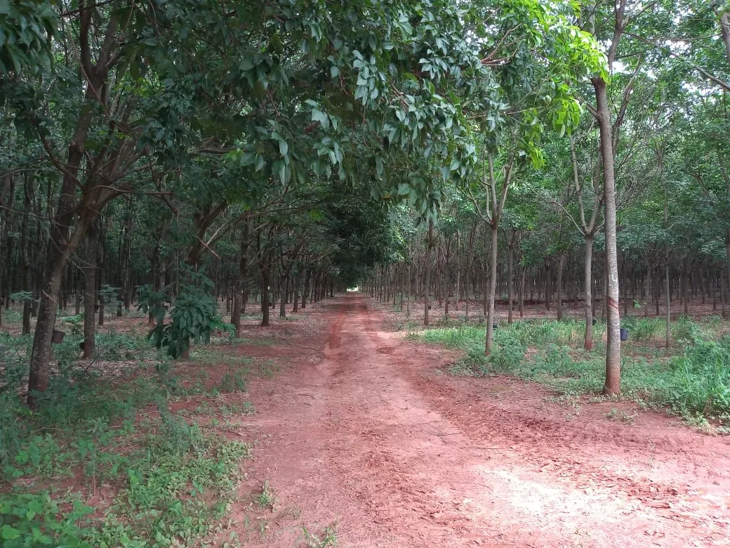 Fazenda à venda de 482 ha em Nova Granada, SP, Brasil