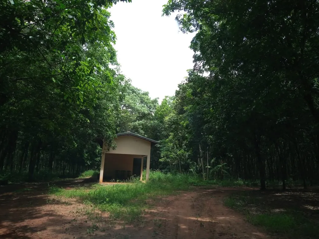 Fazenda à venda de 482 ha em Nova Granada, SP, Brasil