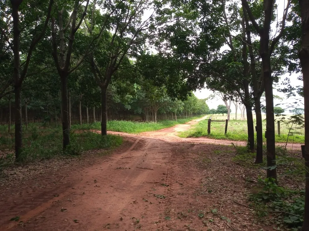 Fazenda à venda de 482 ha em Nova Granada, SP, Brasil