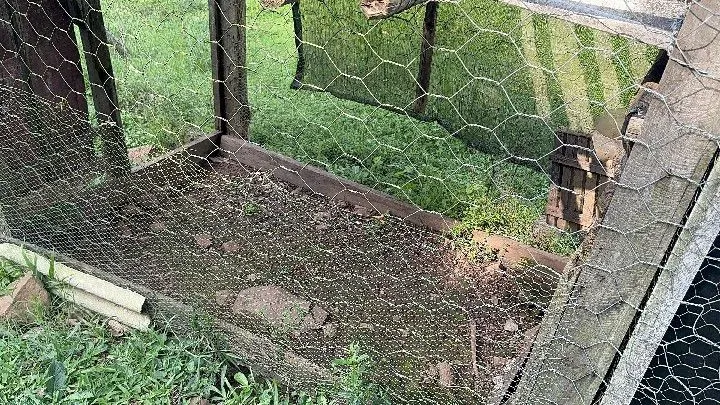 Sítio à venda de 10 ha em Santo Antônio da Patrulha, RS, Brasil
