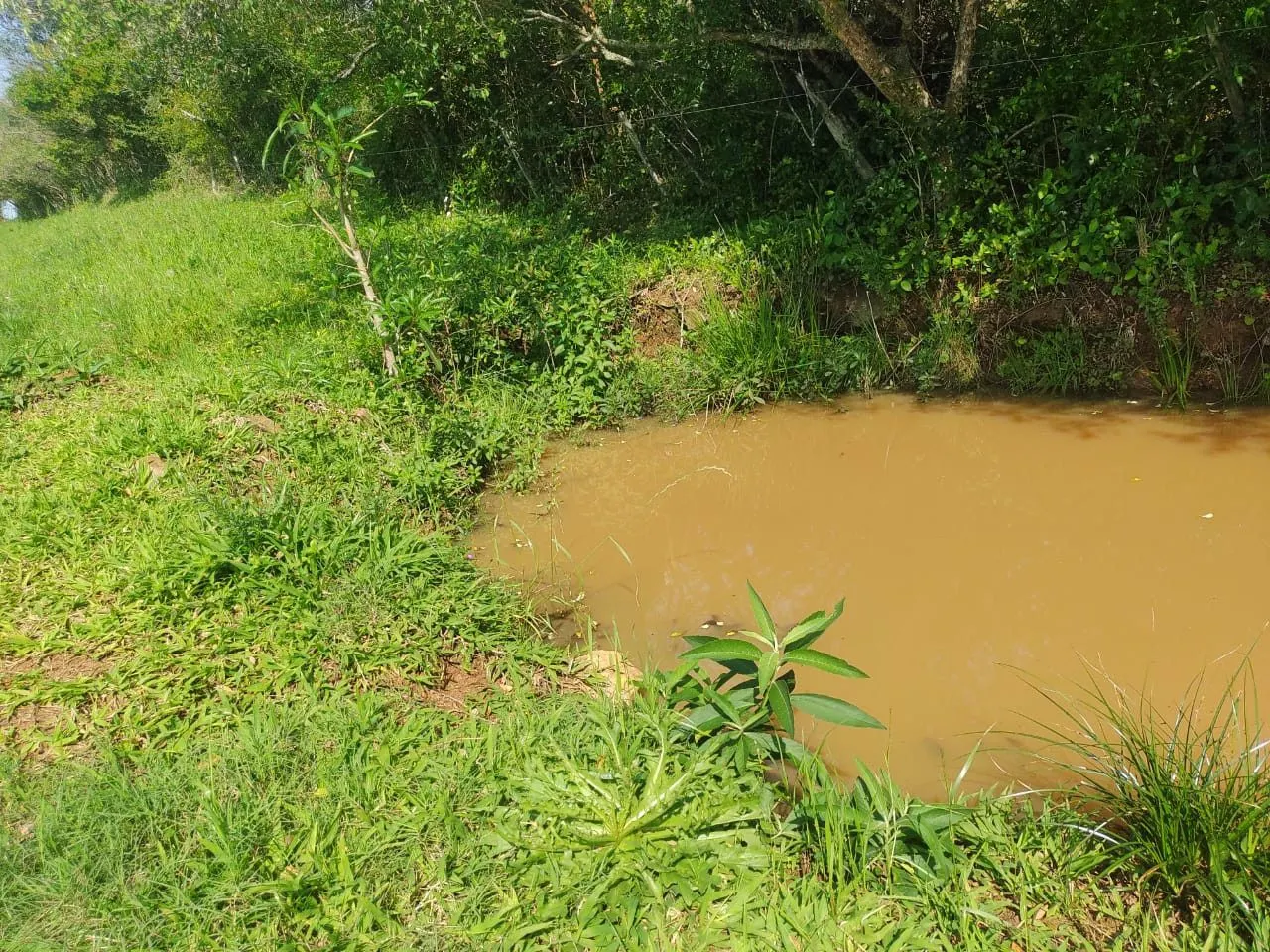 Sítio à venda de 10 ha em Santo Antônio da Patrulha, RS, Brasil