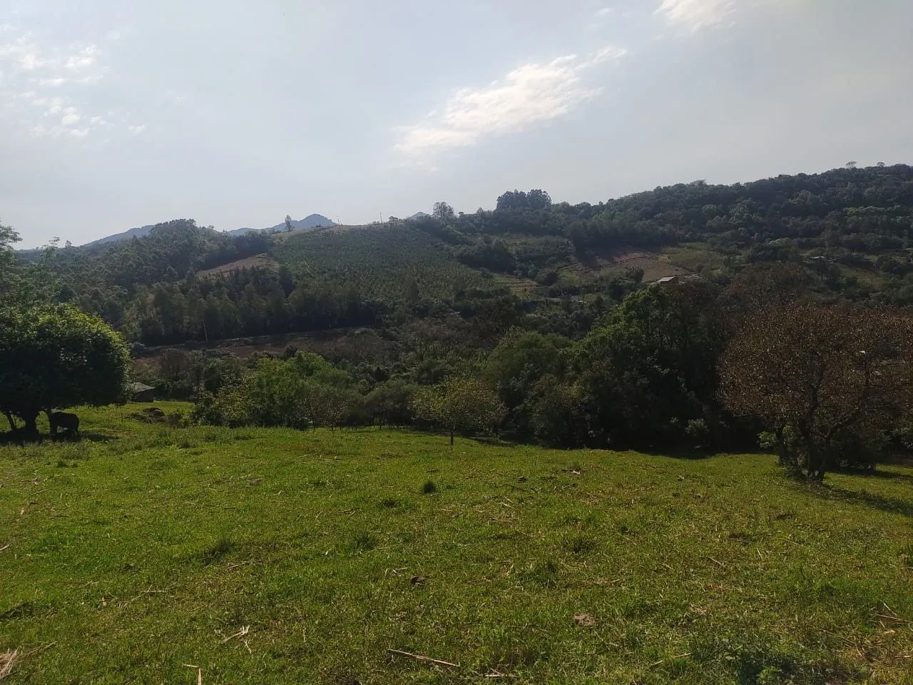 Sítio à venda de 10 ha em Santo Antônio da Patrulha, RS, Brasil