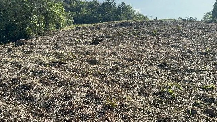 Sítio à venda de 10 ha em Santo Antônio da Patrulha, RS, Brasil