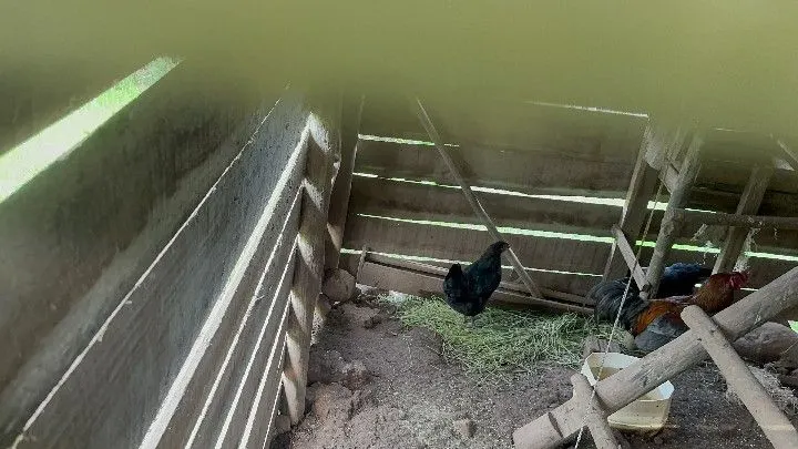 Sítio à venda de 10 ha em Santo Antônio da Patrulha, RS, Brasil