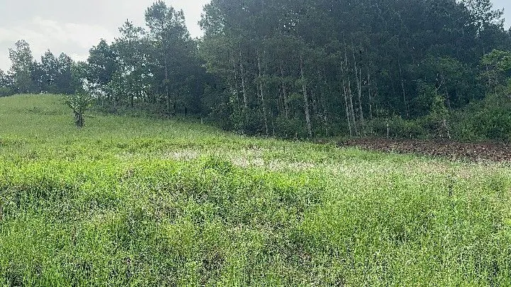 Sítio à venda de 10 ha em Santo Antônio da Patrulha, RS, Brasil