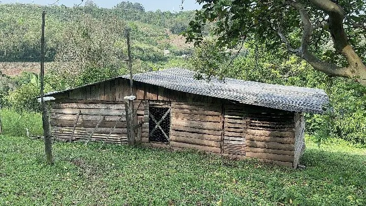 Sítio à venda de 10 ha em Santo Antônio da Patrulha, RS, Brasil