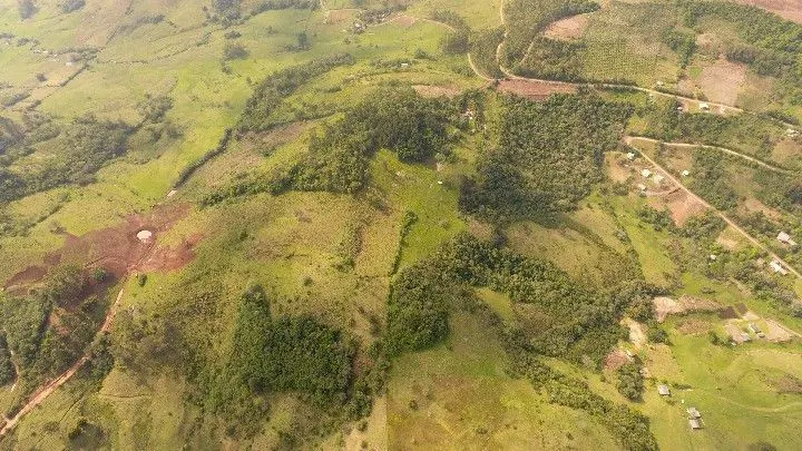 Sítio à venda de 10 ha em Santo Antônio da Patrulha, RS, Brasil