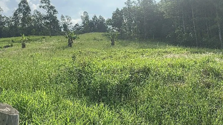 Sítio à venda de 10 ha em Santo Antônio da Patrulha, RS, Brasil