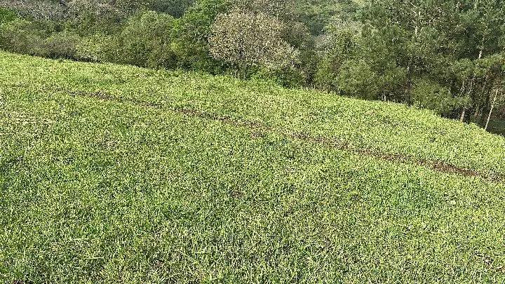 Sítio à venda de 10 ha em Santo Antônio da Patrulha, RS, Brasil