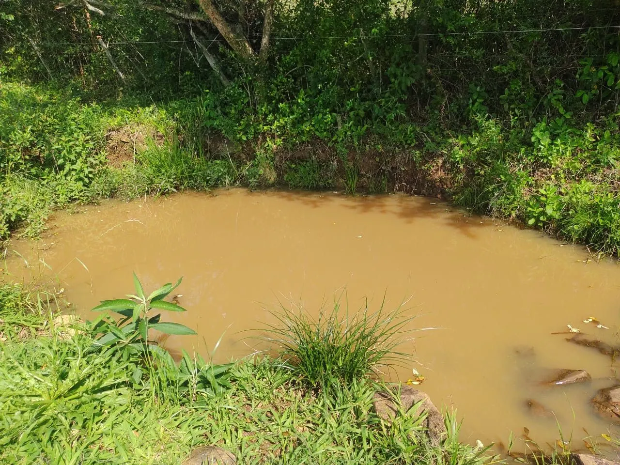 Sítio à venda de 10 ha em Santo Antônio da Patrulha, RS, Brasil