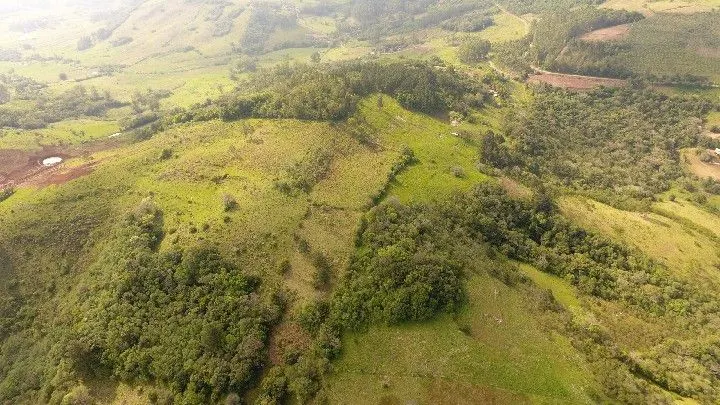 Sítio à venda de 10 ha em Santo Antônio da Patrulha, RS, Brasil