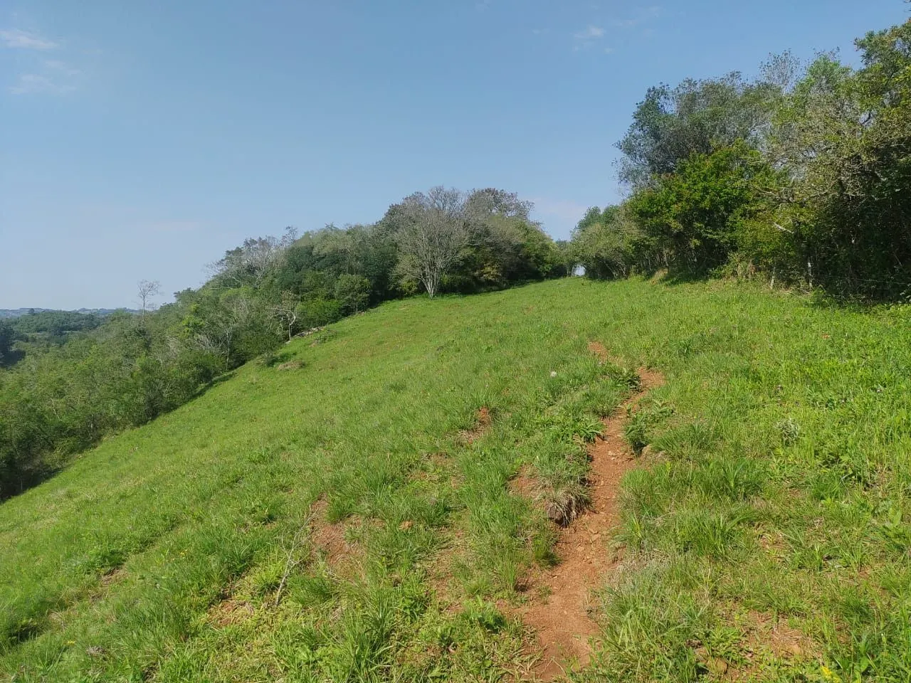 Sítio à venda de 10 ha em Santo Antônio da Patrulha, RS, Brasil