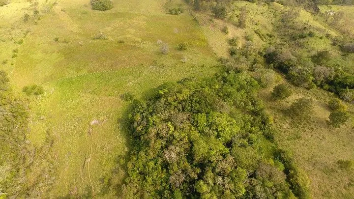 Sítio à venda de 10 ha em Santo Antônio da Patrulha, RS, Brasil
