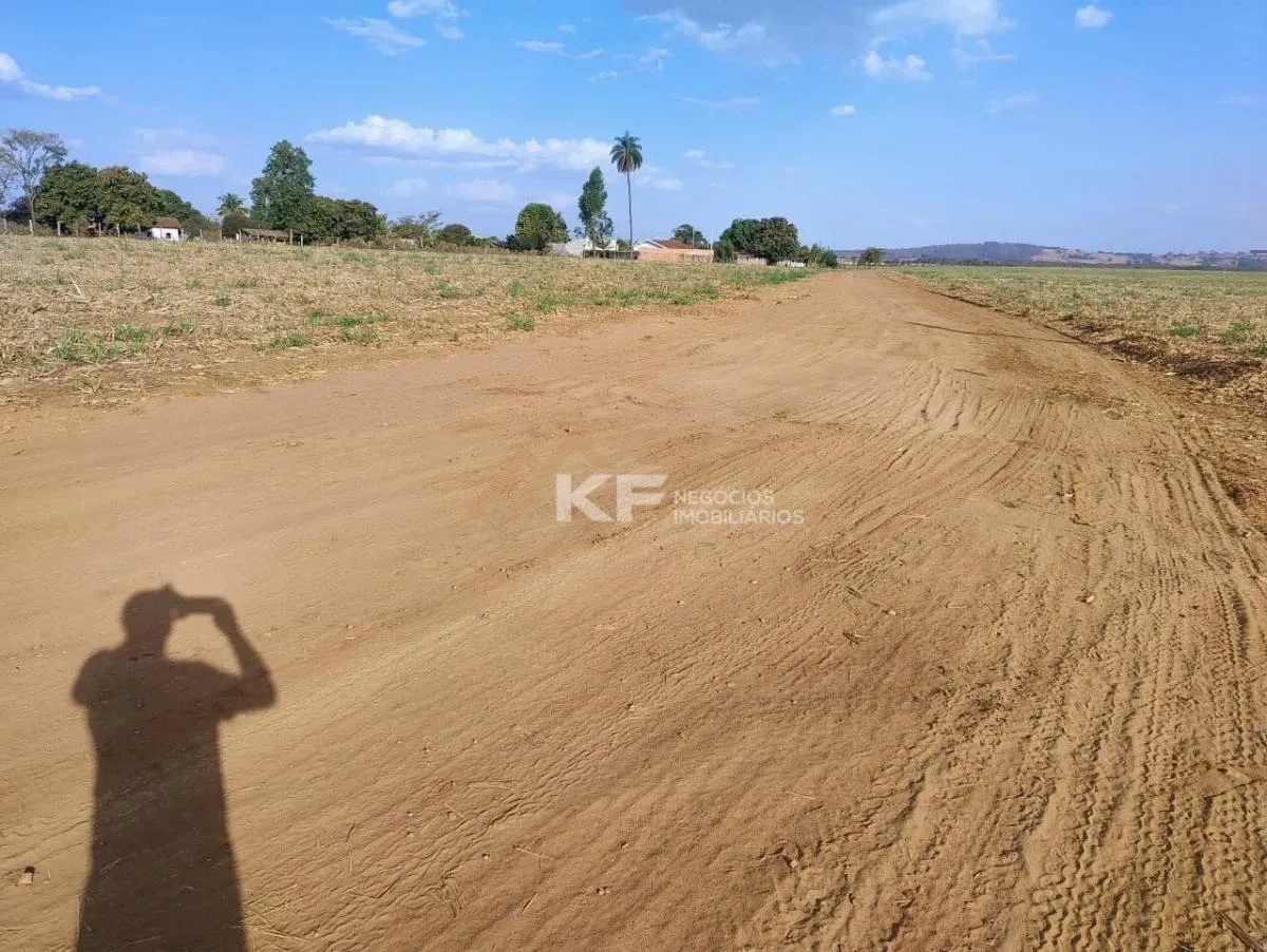 Fazenda à venda de 650 ha em Mococa, SP, Brasil