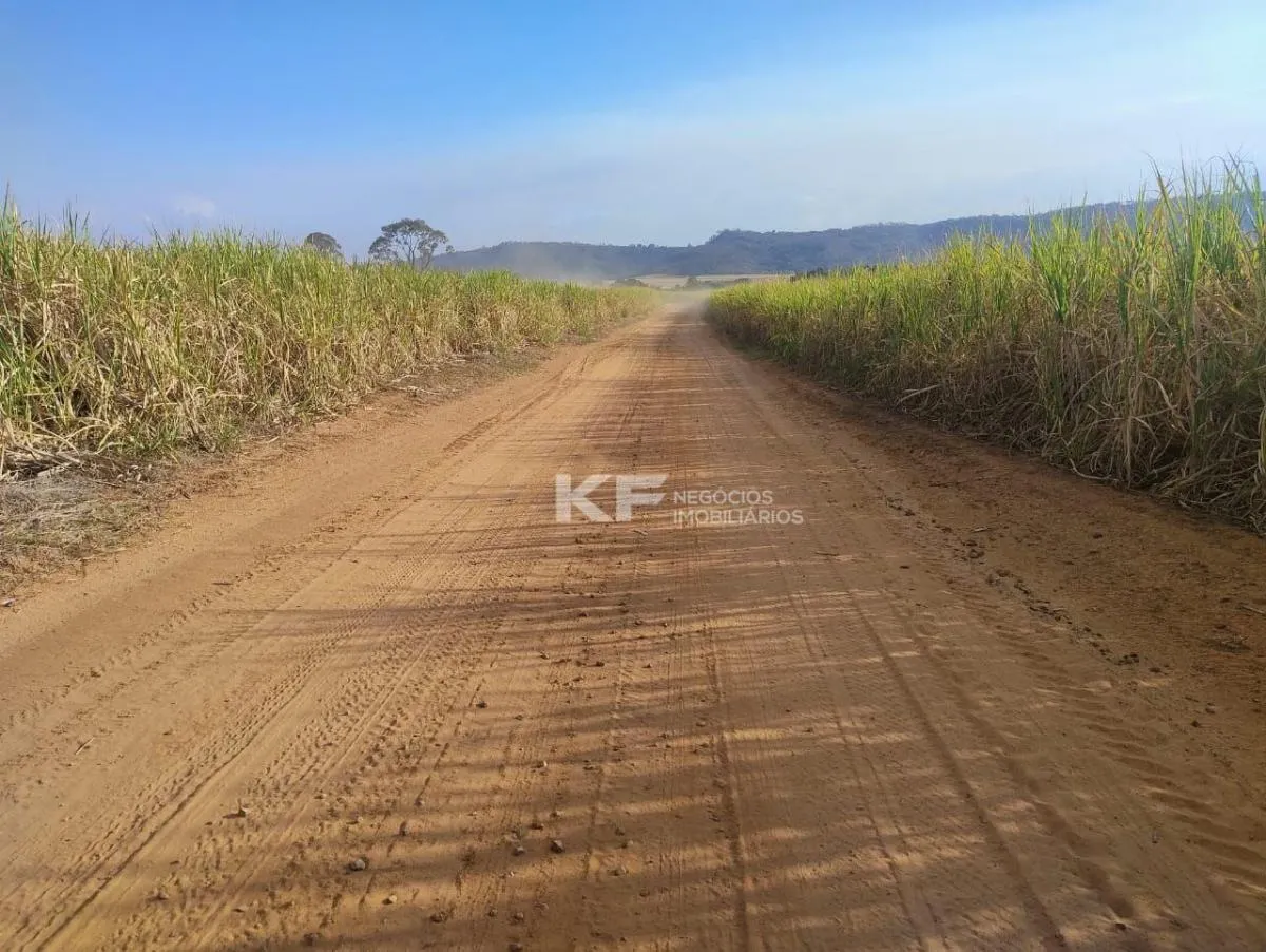 Fazenda à venda de 650 ha em Mococa, SP, Brasil