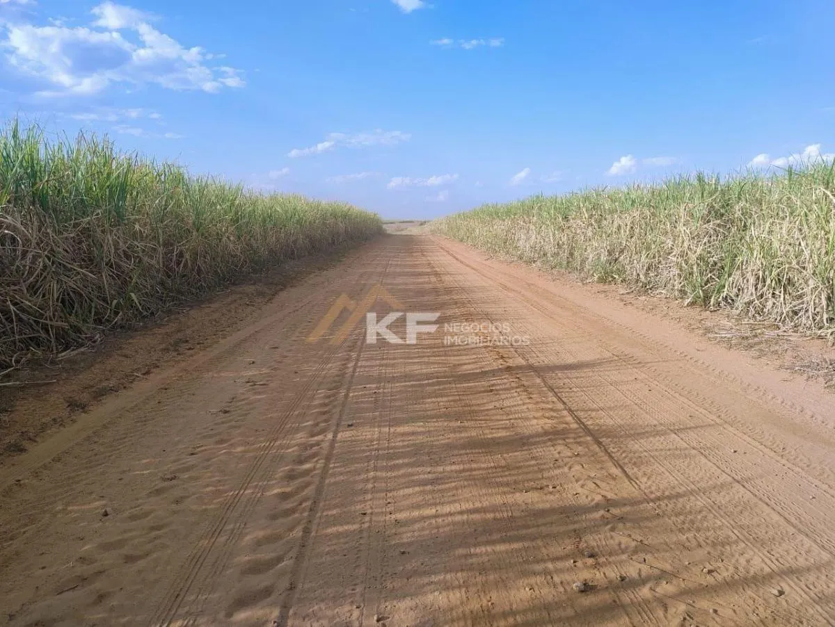 Fazenda à venda de 650 ha em Mococa, SP, Brasil