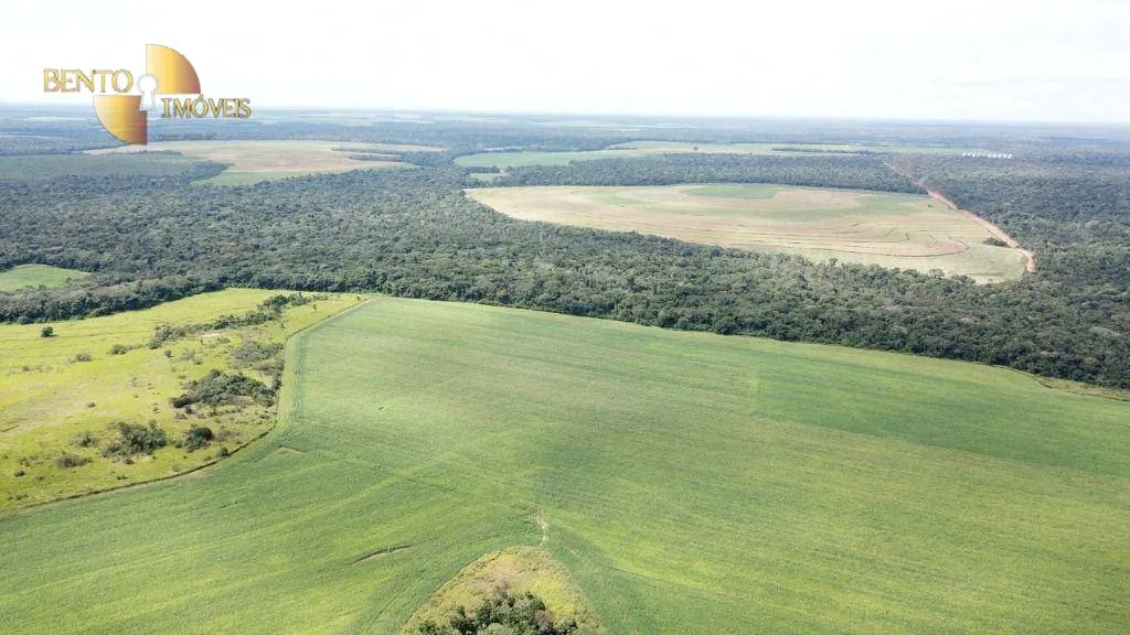 Fazenda à venda e para Arrendar de 3.500 ha em Porto dos Gaúchos, MT, Brasil