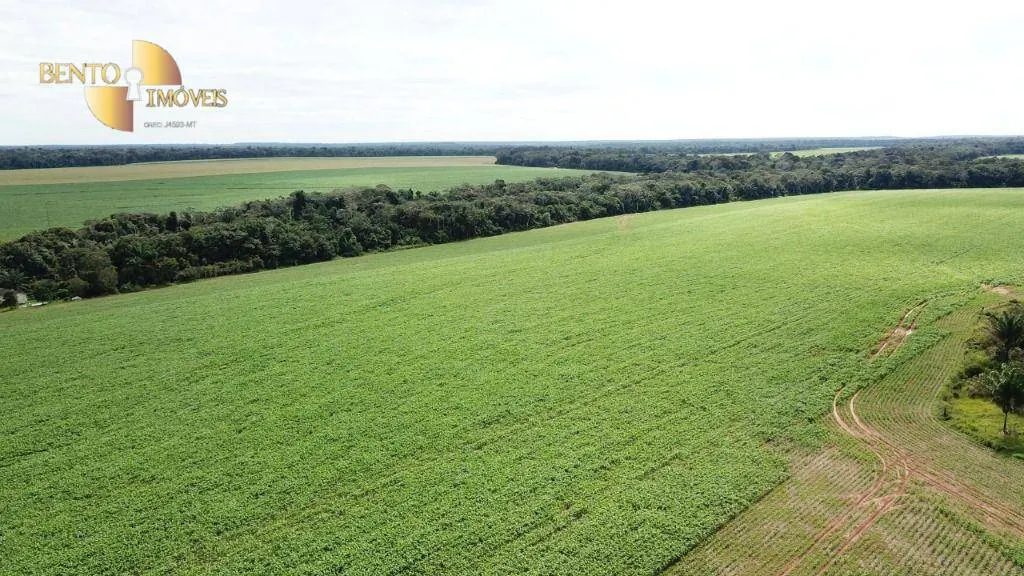 Fazenda à venda e para Arrendar de 3.500 ha em Porto dos Gaúchos, MT, Brasil