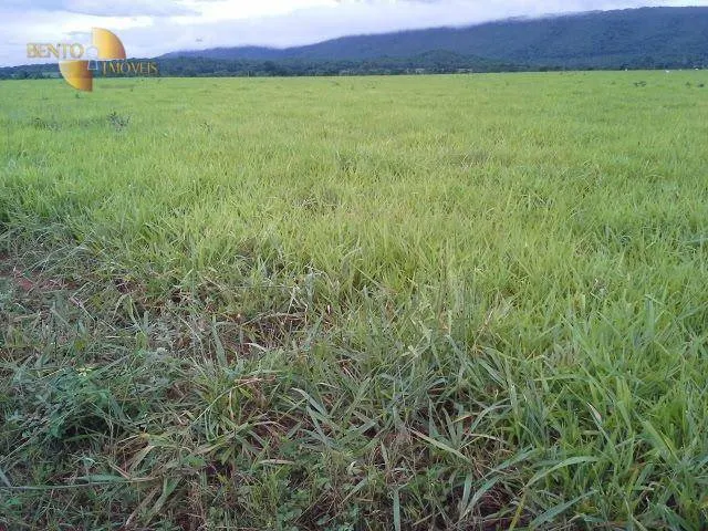 Fazenda à venda de 4.080 ha em Planalto da Serra, MT, Brasil