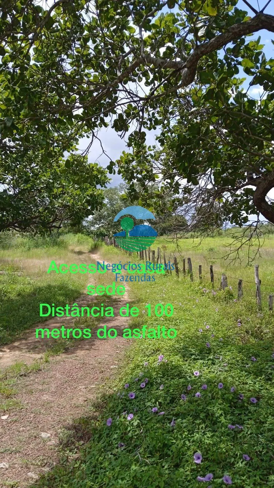 Sítio à venda de 70 ha em Floriano, PI, Brasil