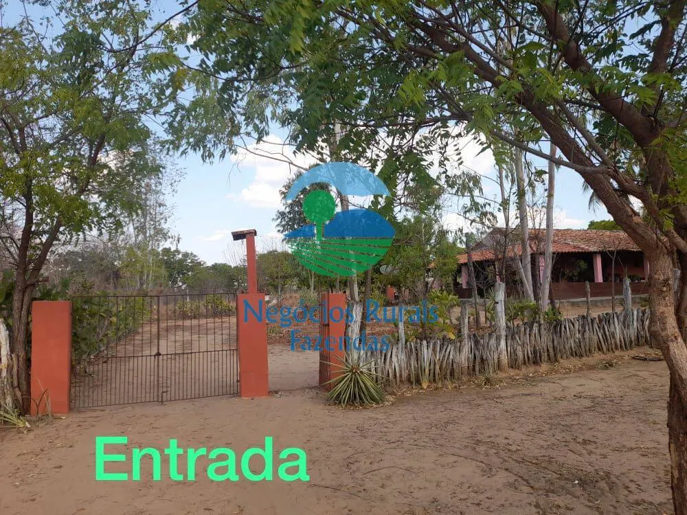 Sítio à venda de 70 ha em Floriano, PI, Brasil