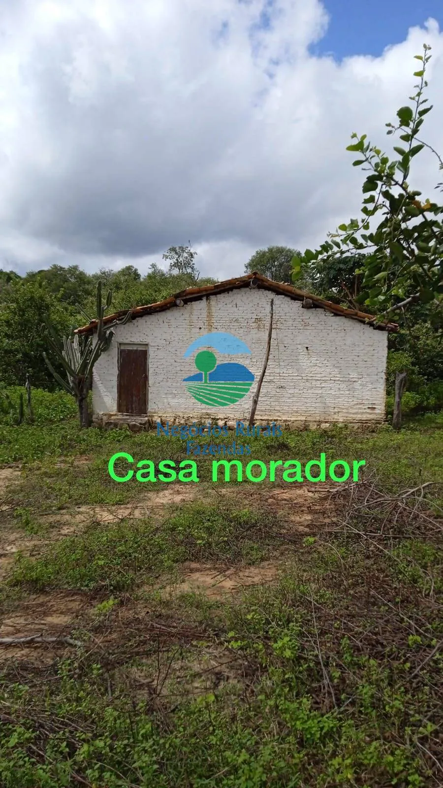 Sítio à venda de 70 ha em Floriano, PI, Brasil